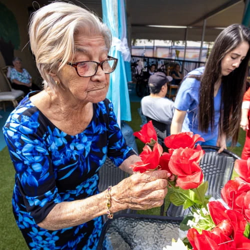 gardening at los abuelos